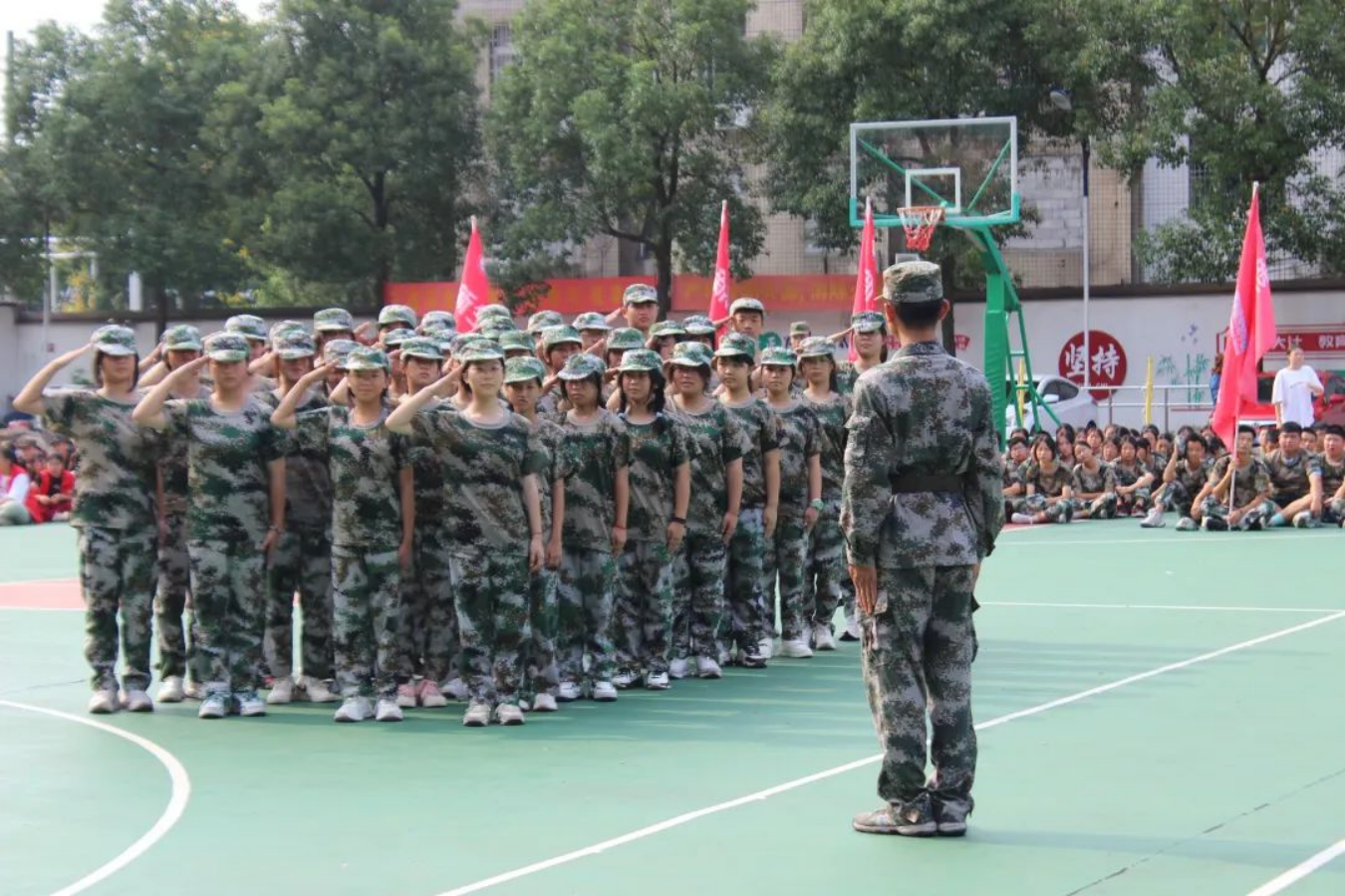 wps66.png